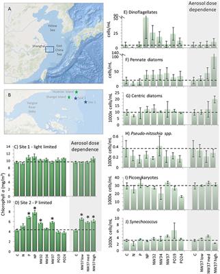 Atmospheric and Fluvial Nutrients Fuel Algal Blooms in the East China Sea